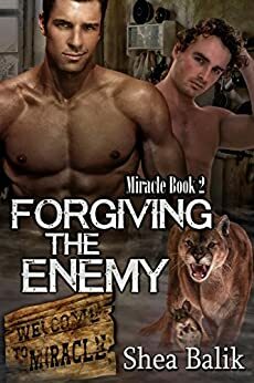 Forgiving the Enemy by Shea Balik
