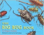 The Big Bug Book by Margery Facklam