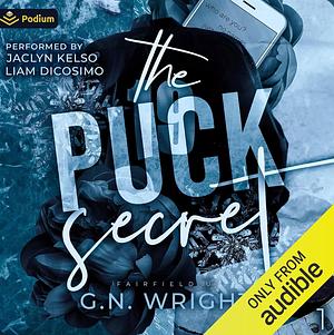 The Puck Secret by G.N. Wright