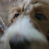 dylan_g's profile picture