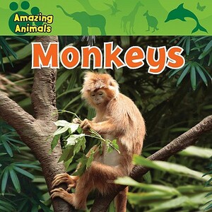 Monkeys by Christina Wilsdon