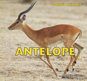 Antelope by Maddie Gibbs