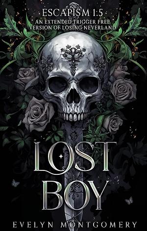 Lost Boy by Evelyn Montgomery