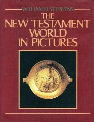 The New Testament World in Pictures 1 by William Stephens