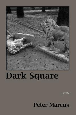 Dark Square by Peter Marcus