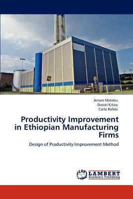 Productivity Improvement in Ethiopian Manufacturing Firms by Daniel Kitaw, Amare Matebu, Carlo Rafele
