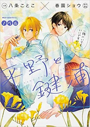 ノベル 平野と鍵浦 1 Hirano to Kagiura, Light Novel #1 by 春園ショウ, Shou Harusono, Kotoko Hachijo, 八条 ことこ
