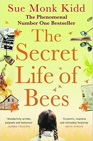 The Secret Life of Bees by Sue Monk Kidd