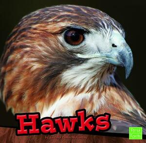 Hawks by Cecilia Pinto McCarthy