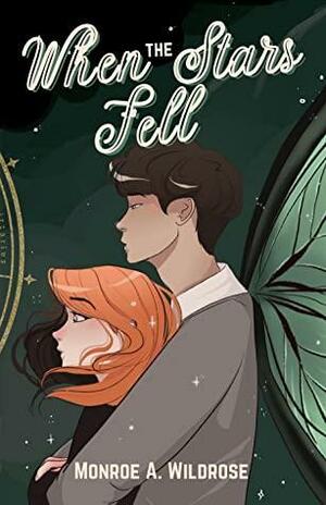 When the Stars Fell by Monroe A. Wildrose