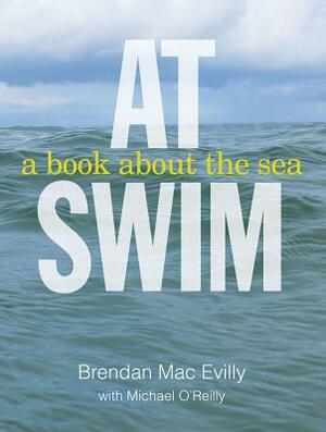 At Swim: A Book about the Sea by Brendan Macevilly, Michael O'Reilly