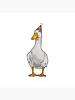 chichitheduck's profile picture