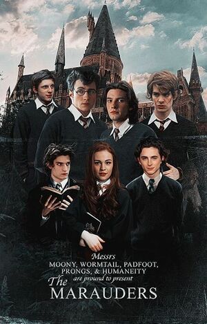 The Marauders: Year Seven Part 1 by Pengiwen