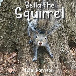 Bella the Squirrel by John Harrison