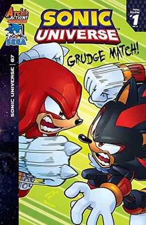 Sonic Universe #67 by Ian Flynn, Tracy Yardley, Ben Hunzeker, Jim Amash, Matt Herms, Jack Morelli