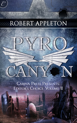 Pyro Canyon by Robert Appleton