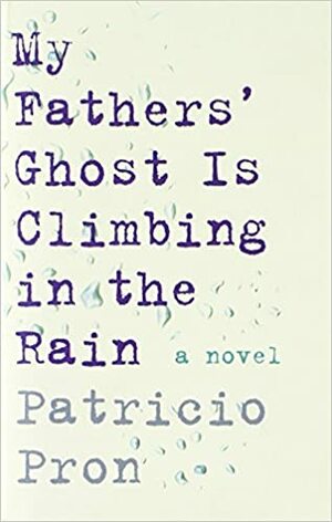 Der Geist meiner Väter steigt im Regen auf by Patricio Pron