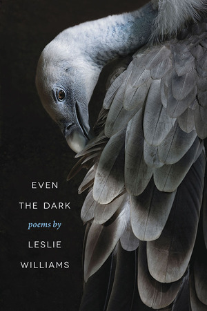 Even the Dark by Leslie Williams