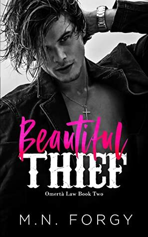 Beautiful Thief by M.N. Forgy