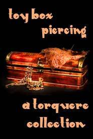 Toy Box: Piercing by Angelia Sparrow, M. Rode, H.B. Kurtzwilde, Naomi Brooks, Lauren Raleigh