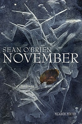 November by Sean O'Brien