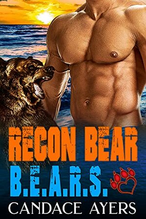 Recon Bear by Candace Ayers