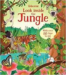 Look Inside The Jungle by Minna Lacey