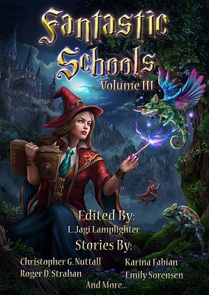 Fantastic Schools, Volume 3 by L. Jagi Lamplighter