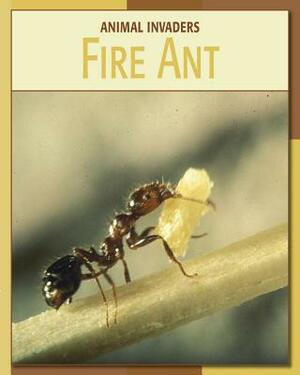 Fire Ant by Barbara A. Somervill