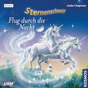 Flug durch die Nacht by Linda Chapman