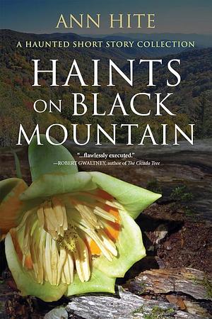 Haints on Black Mountain: A Haunted Short Story Collection by Ann Hite