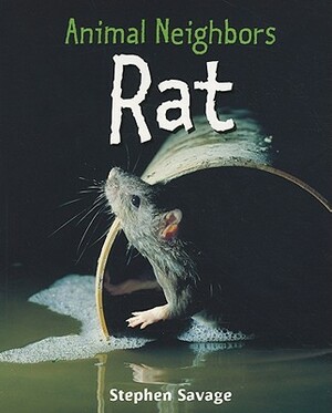 Rat by Stephen Savage