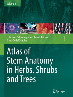 Atlas of Stem Anatomy in Herbs, Shrubs and Trees, Volume 1 by Fritz Hans Schweingruber, Annett Börner, Ernst-Detlef Schulze