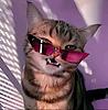 jennifer_clohessy's profile picture