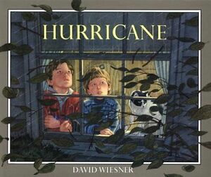 Hurricane by David Wiesner