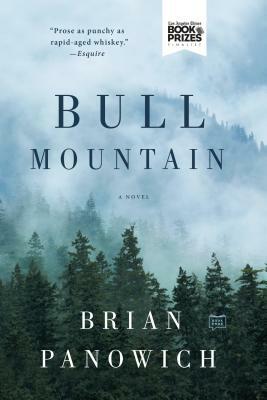 Bull Mountain by Brian Panowich