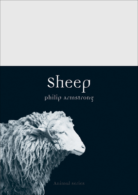 Sheep by Philip Armstrong