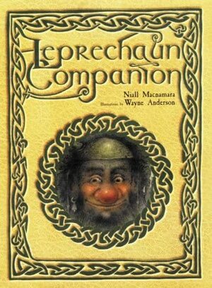 Leprechaun Companion by Niall MacNamara