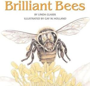 Brilliant Bees by Linda Glaser