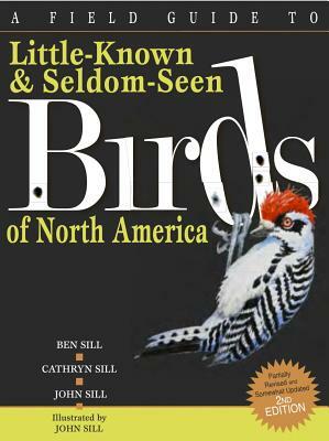 A Field Guide to Little-Known and Seldom-Seen Birds of North America by Ben Sill, Cathryn Sill