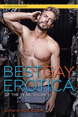 Best Gay Erotica of the Year, Volume 3 by 