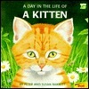 A Day in the Life of a Kitten by Susan Barrett, Peter Barrett
