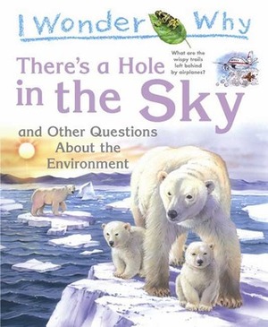 There's a Hole in the Sky: and Other Questions About the Environment by Sean Callery