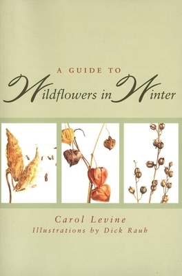A Guide to Wildflowers in Winter: Herbaceous Plants of Northeastern North America by Carol Levine