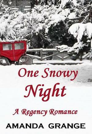 One Snowy Night by Amanda Grange