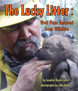 The Lucky Litter: Wolf Pups Rescued from Wildfire by Jennifer Keats Curtis, John Gomes
