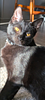 story33's profile picture