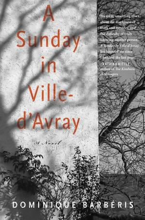 A Sunday in Ville-d'Avray by Dominique Barb�ris