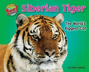 Siberian Tiger: The World's Biggest Cat by Meish Goldish