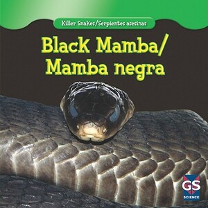 Black Mamba/Mamba Negra by Angelo Gangemi